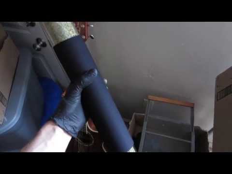 Wicked Garden Having A Blast