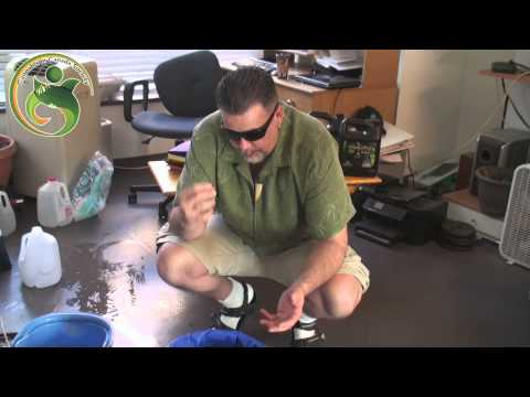 Jason's 2nd time ever making Bubble Hash 