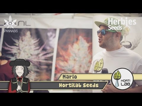 Spannabis 2014 - HortiLab Seeds