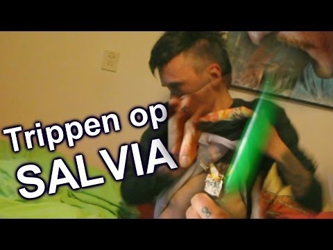 TRIPPEN OP SALVIA!