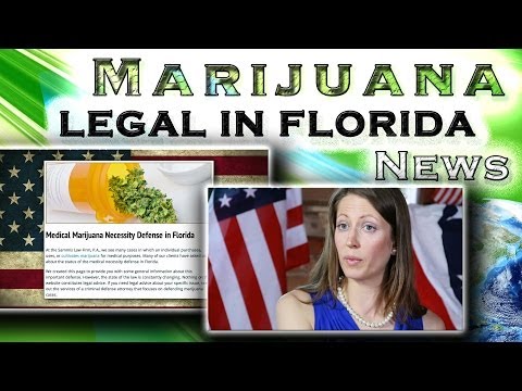 HowToMarijuana.com: Focus of Florida - Legal  Weed Amendment 2, SB1030