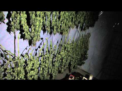 Wicked Garden Drying Room Update