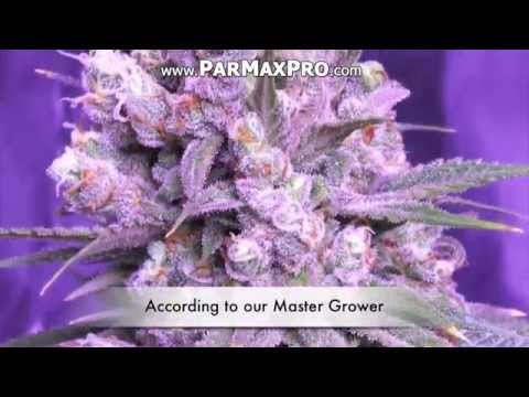 PARMAX HYBRID LED PRO PANELS CANNABIS