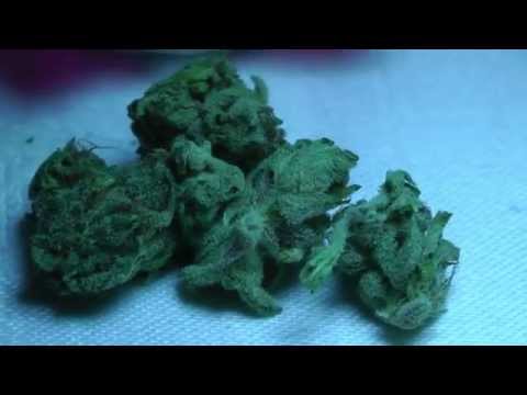 33 Kinds Of Cannabis Treating Yourself Cup 2014