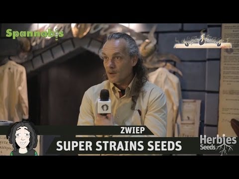 Herbies en Spannabis Barcelona 2013 - Super Strains Seeds