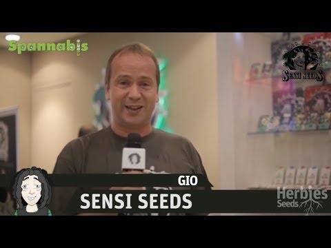 Herbies en Spannabis Barcelona 2013 - Sensi Seeds