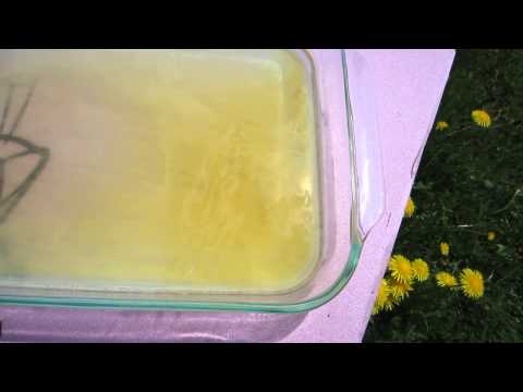 Wicked Garden Having A Blast #2