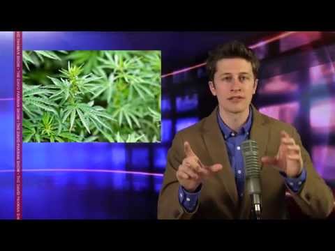 DEA asks FDA to reschedule marijuana