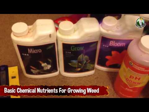 Basic Chemical Nutrients for Growing Weed - Growing Marijuana