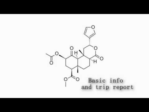 Salvia Divinorum (0.5 grams, 80x) Trip Report and Info