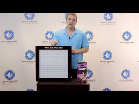 Black Dog LED Platinum XL-U 750 review