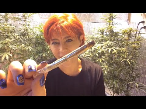 Employment ~ Medicating With Marijuana