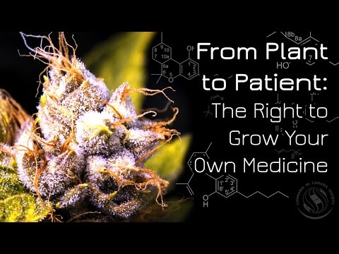 From Plant to Patient: The Right to Grow Your Own Medicine