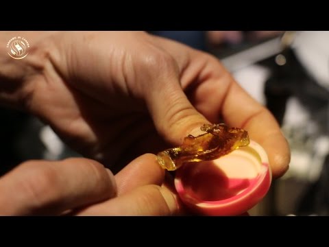 They're Putting a Fortress Around Cannabis: John Berfelo @ Prairie Medicinal Harvest Cup