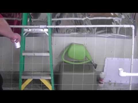 Green Ninja's Next Indoor Organic CFL Medical Marijuana Grow Part 5...the SCROG net