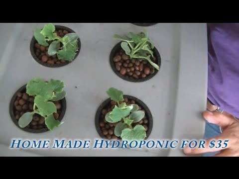 Home made Deep water hydroponic system and Nutrients CHEAP