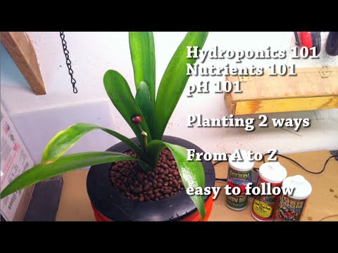 5 Gallons Bucket Hydroponic + Nutrients 101 From A to Z very easy