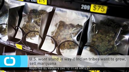 U.S. Wont Stand in Way If Indian Tribes Want to Grow, Sell Marijuana