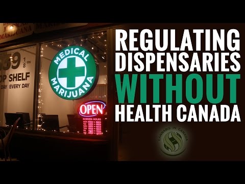 Regulating Dispensaries Without Health Canada: An Interview with Jamie Shaw