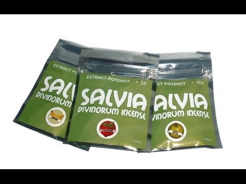 The Phases of Salvia (Best Of)