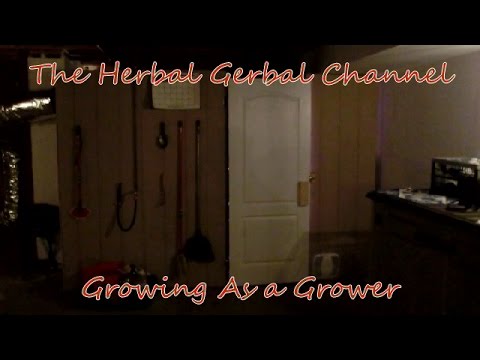 LED Grow Flower Prep and Update