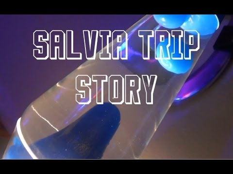 Salvia Trip Story / Report INSANE
