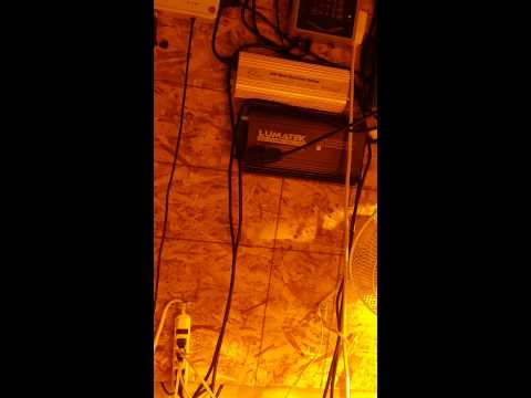 6000 watt shipping container grow op