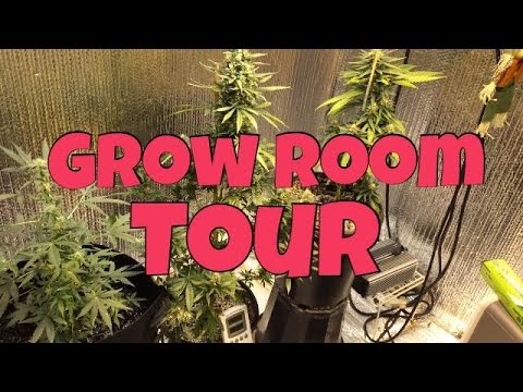 Indoor Grow Room Tour!