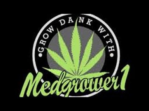 Herbin Farmer Exclusive Interview - Medgrower1 Straight Talk