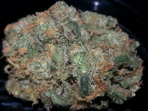 [420Fam]Blue Dream Strain Review