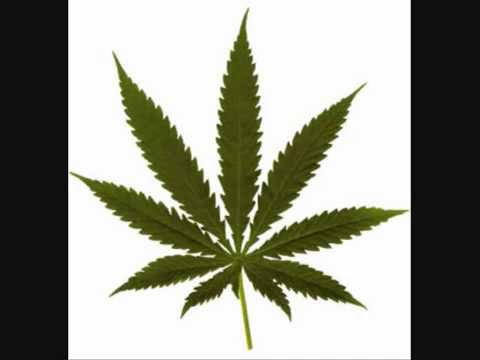 What the Hell, Gateway Drug!?!?!?!