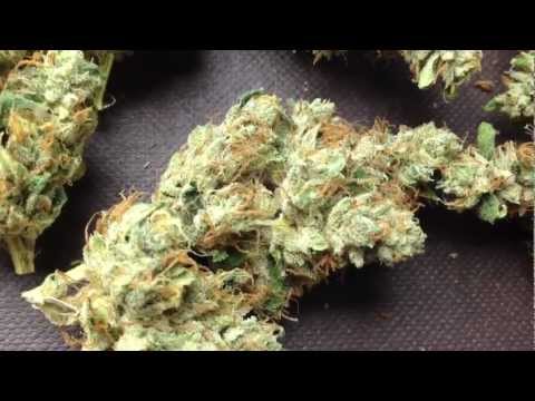 Theo's strain reviews: OG Diesel