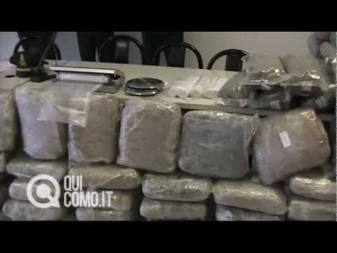 Sequestro di droga a Cantù: 237 chili di marijuana