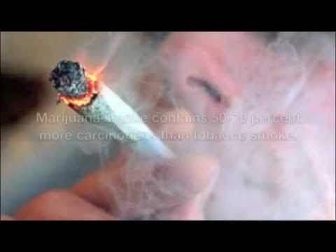 Marijuana in MA Youth Speak Out