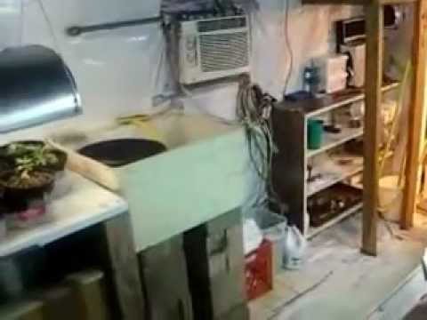grow room video 1
