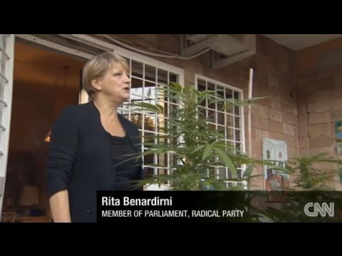 CNN on the debate to legalize marijuana cultivation in Italy