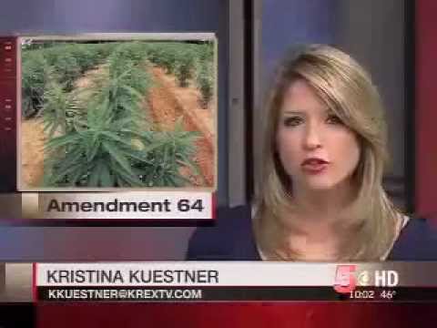 Largest Union in Colorado Endorses Amendment 64 (Marijuana Legalization)
