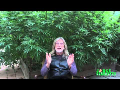 Join our new Marijuana Growing Forum!