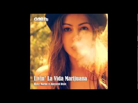 G3RSt - Livin' La Vida Marijuana (Ricky Martin vs Hayseed Dixie)