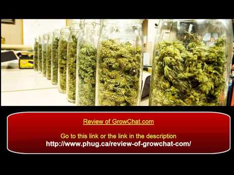 Review of Growchat | Honest Review About GrowChat.com