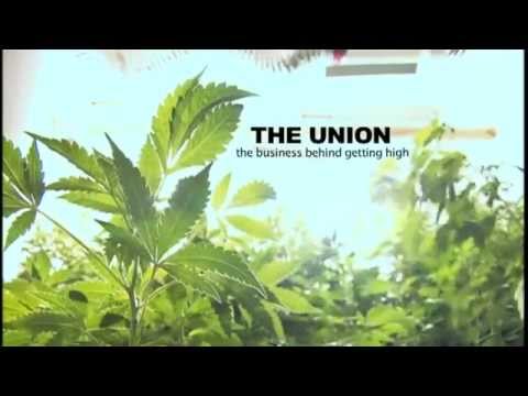 THE UNION - Do You Think Marijuana Will Ever Be Legal