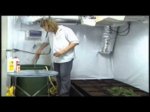 Sons of Tjalfe - How To Grow Marijuana Indoors - Basic Grow Room Setup