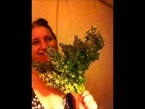 Medical Cannabis Bouquet