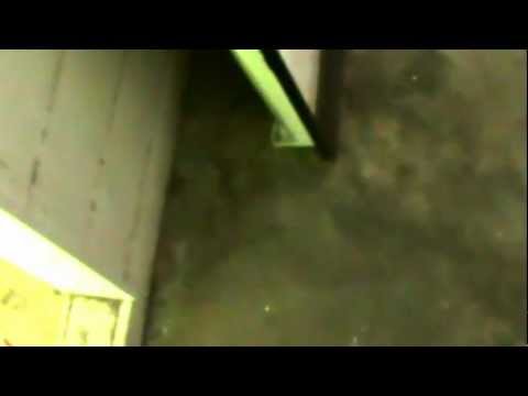 AreoGarden Grow Room Set Up Starting