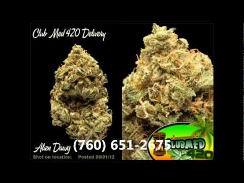 Clubmed420 Medical Marijuana Top Shelf Strains Delivered To Your Home Today