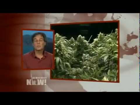 Smoke Signals: Martin Lee On Growing US Movement to Legalize Marijuana