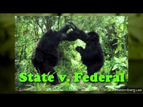 Will New Marijuana Laws Go Up In Smoke?