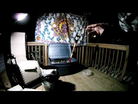 Tutorial: How to Germinate Cannabis Seeds, 100% Success Rate.