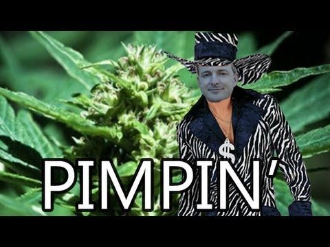 Marijuana Legalization 2012 introduces premium pot! Alright!