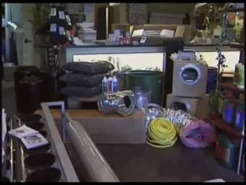 How To Grow Marijuana Indoors - Basic Grow Room Setup - Time Lapse